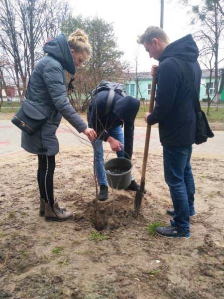 55704724_1531063523691355_2410298318954430464_n