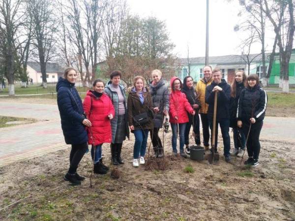 55826188_1531063520358022_8869563432853045248_n