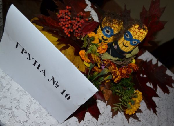 73472550_1709197119211327_2197240835534225408_o