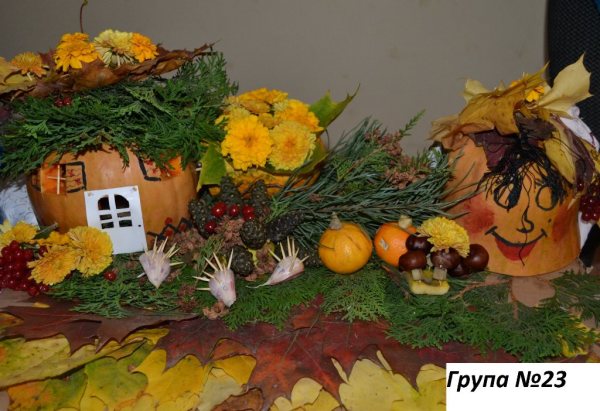 73475166_1709194302544942_4468047159404527616_o