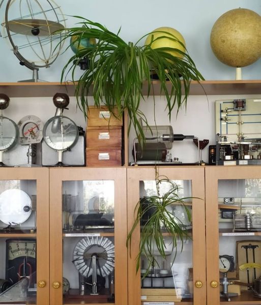 73497875_1716791901785182_2666490412331433984_o