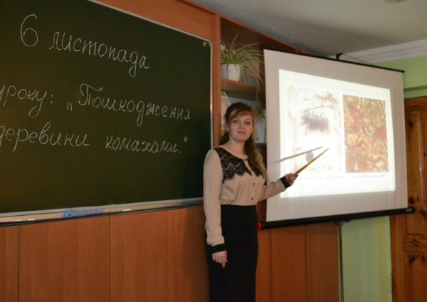 74471937_1716763311788041_251047869312663552_o