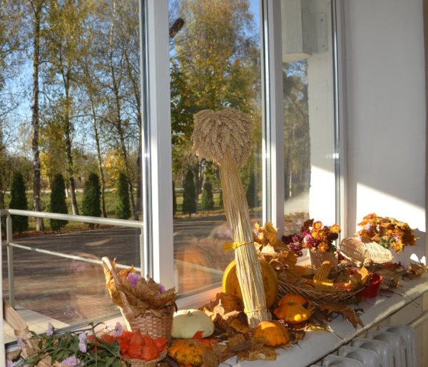 74614141_1709198102544562_2306890787960389632_o