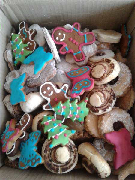 79888947_1764736010324104_3299492635265204224_n