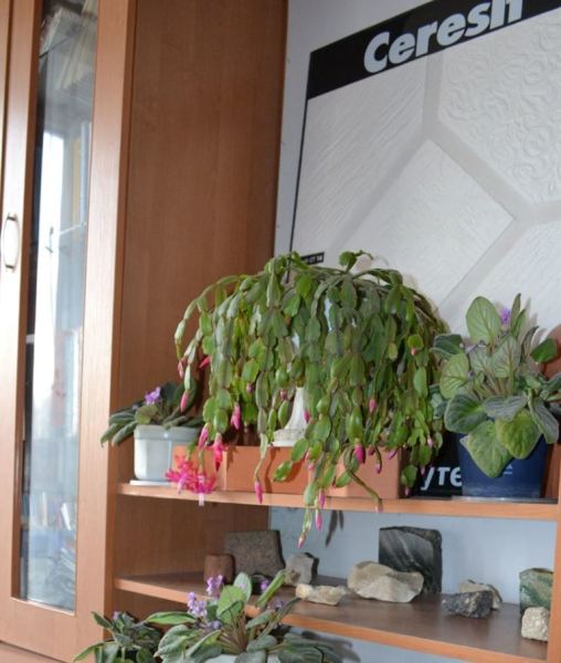 79922803_1759910414139997_5480496222382850048_o