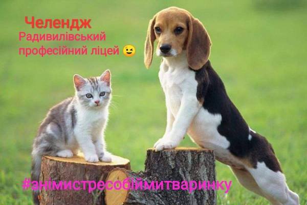 126239411_2094351700695865_8677466095735244053_o