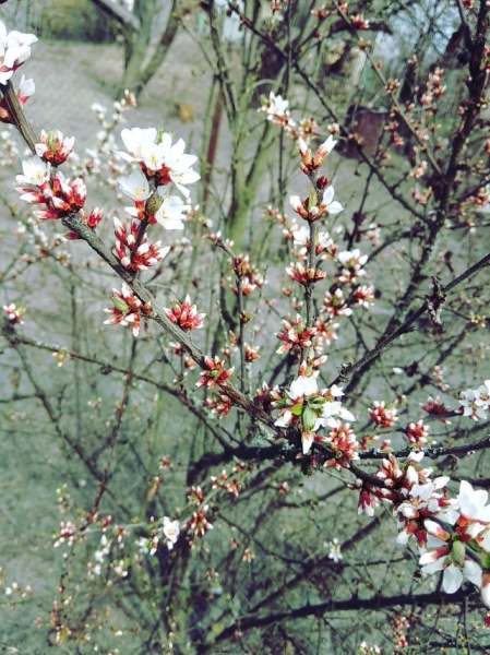 126343316_2095242753940093_472561598048972789_n