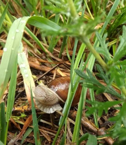 126428425_2095240390606996_1333278102203629013_n