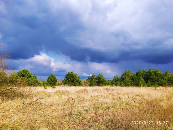 126510827_2095270470603988_8961420069185662975_o