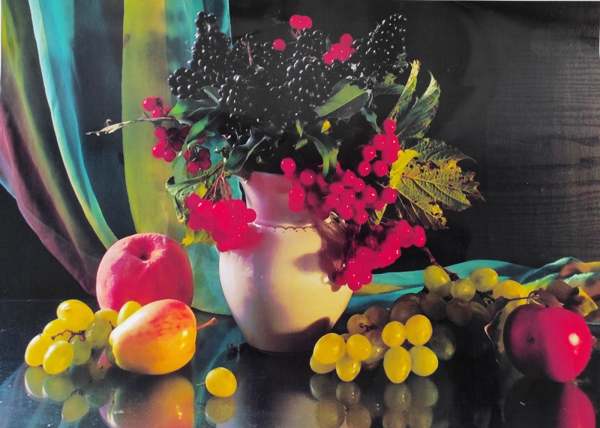 126513245_2095269207270781_1162787615730431936_o