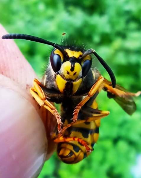 126801586_2095256610605374_6925101672927844531_n