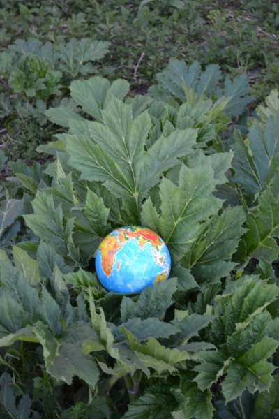 187893229_2249290361868664_5041669399390081748_n