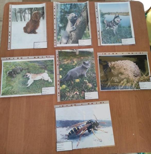 248527424_2378023408995358_3879249710198276570_n