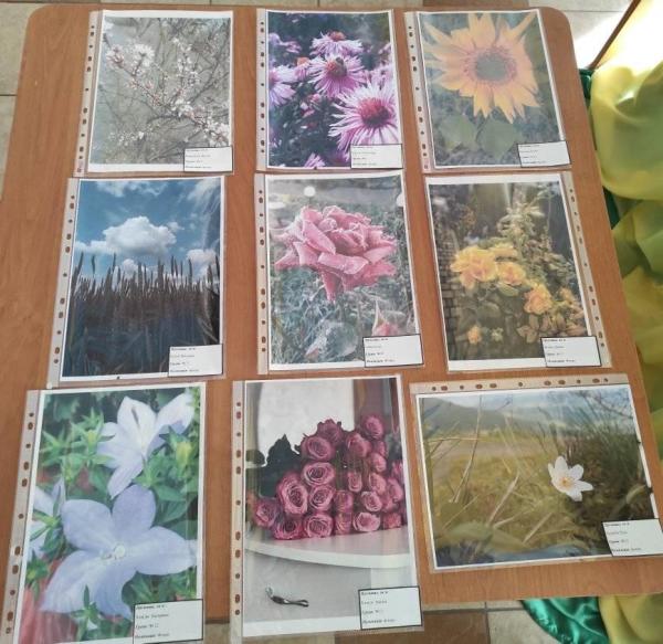 248637170_2378023455662020_6369473392834412131_n