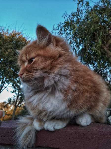 274053775_2468648463266185_4310356193609095296_n