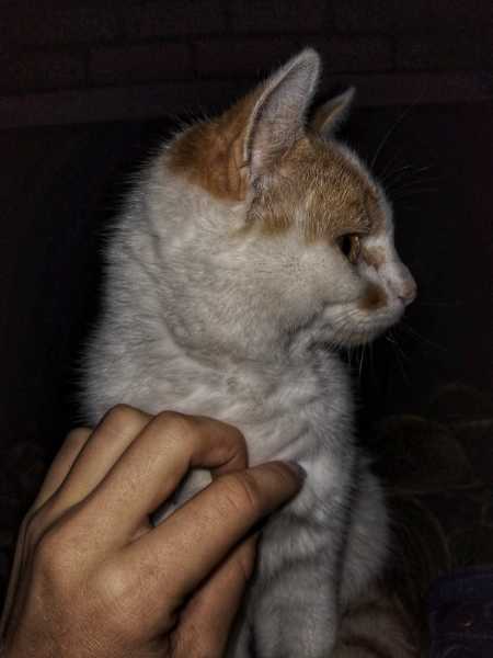 274059679_2468648533266178_1660870847858994426_n