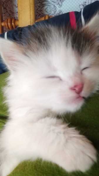 274063949_2468648329932865_7088240847304291254_n