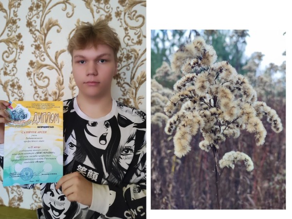 411613236_791821399627063_3234769621816169208_n