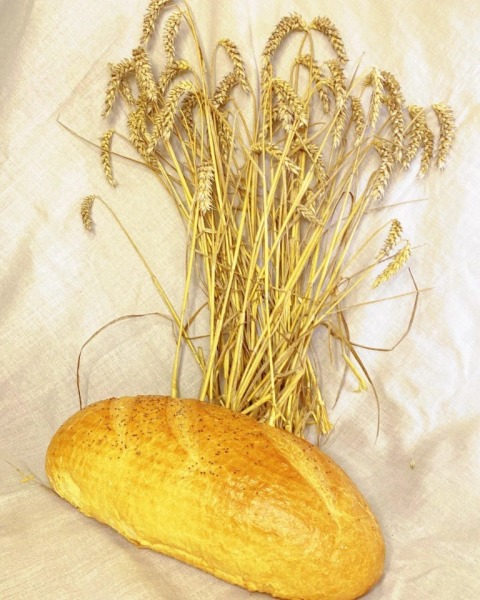 421042994_812774227531780_643393621624188235_n