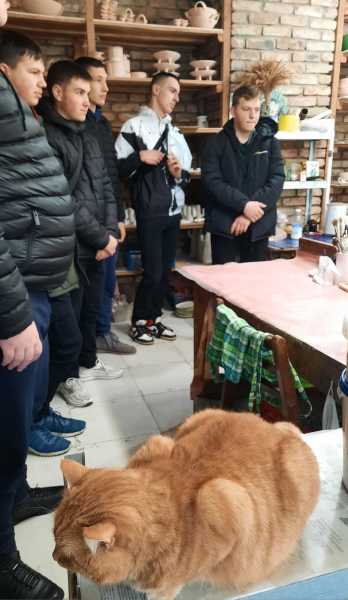 431774062_845783294230873_851118936124359527_n