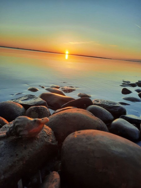 461827200_993770929432108_7487723508940422612_n