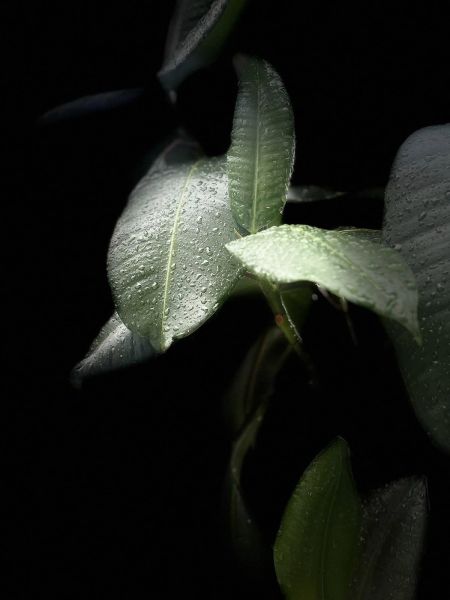 461864232_993771042765430_8517271405844699120_n