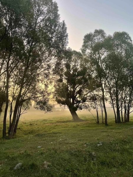 461921694_993771032765431_3478243142141111013_n