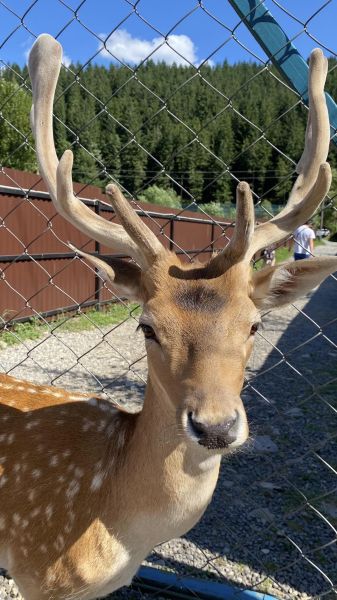 461972817_993770999432101_4678295654938231414_n