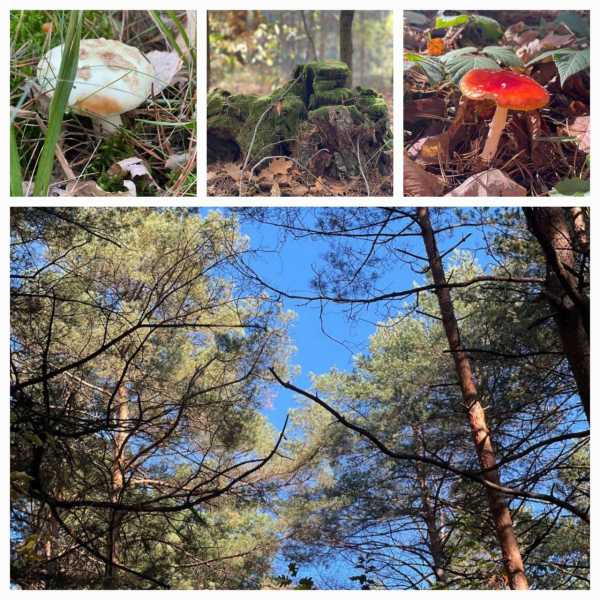 462923540_1007054071437127_3009407041819863576_n